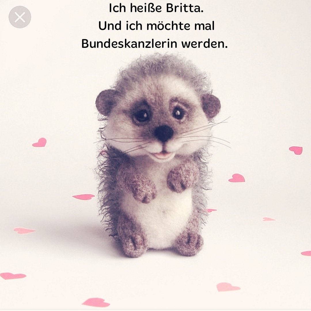 harkebuschpewe's tweet photo. Das kann ja heiter werden.
#Humor zur #Weihnachtszeit.
Merry #Christmas and a happy new Year. 🎄✨🎶
"#Bewegung lässt uns #ankommen." © #Pewe #Harkebusch https://t.co/YBna3v6xRy