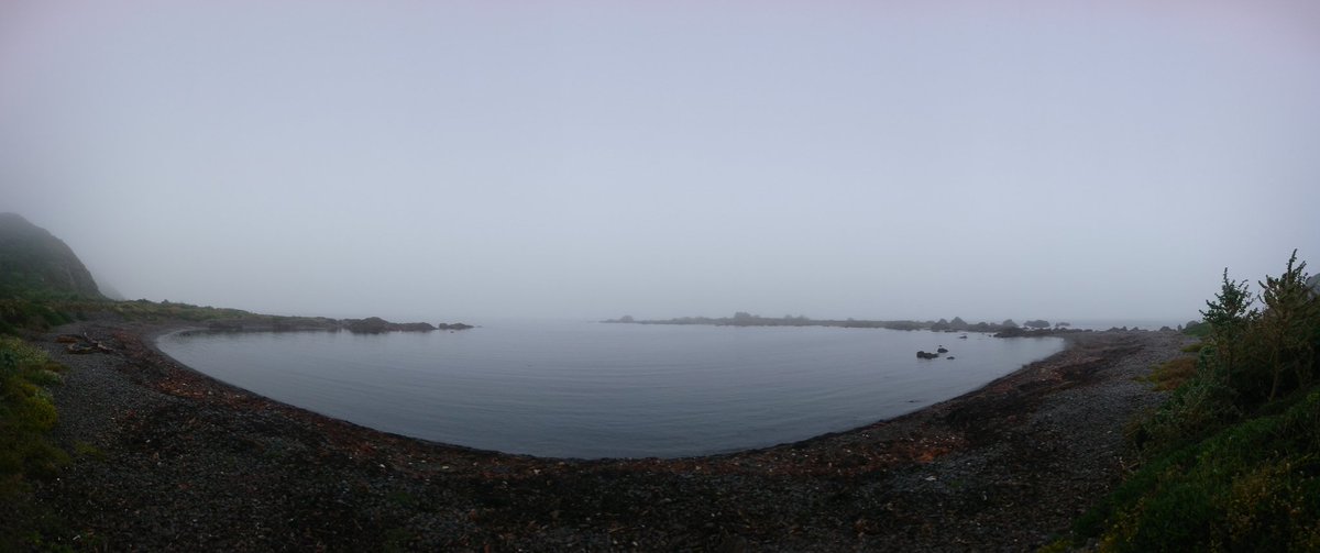 WildBayNZ's tweet photo. A beautiful drive around the Bays from Lyall Bay to Wellington. With the fog adding to the atmosphere which was interrupted on a couple of occasions by the fog horn of the arriving Cruise Ship.Good start to the day. #lyallbay #breakerbay #seatoun #masseymemorial #southcoast #fog https://t.co/NGLkTI2bwF