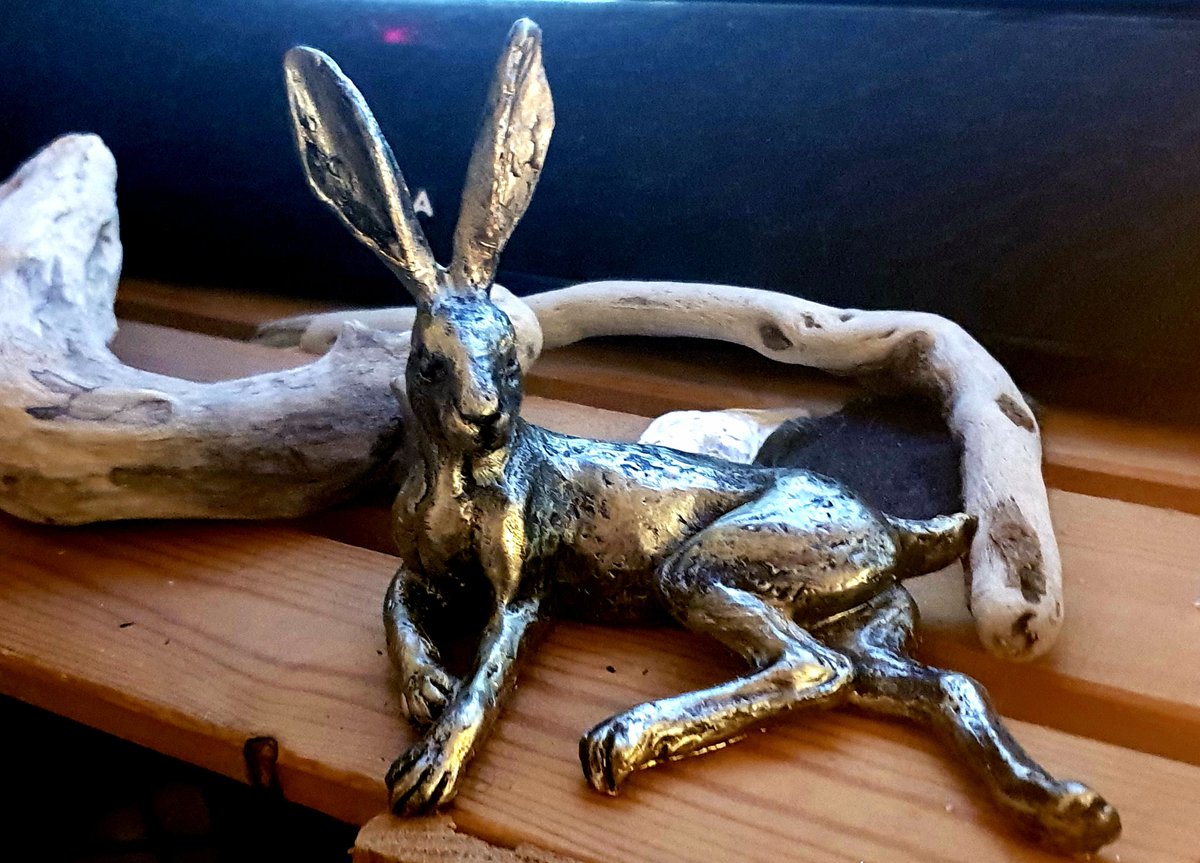kittykat_x's tweet photo. Had this beautiful hare as an unexpected present. He is truly magnificent #beautifulpresent https://t.co/FSI5kNHR4T