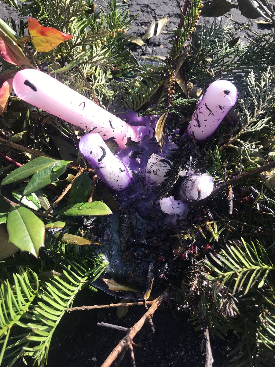 Jen (McDaniel) Koll tweet media