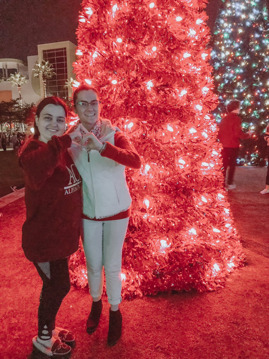 USF Alpha Omicron Pi tweet media