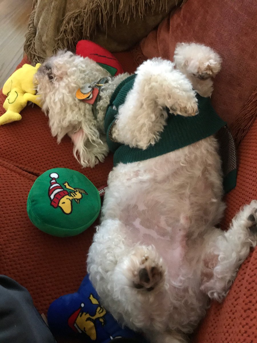 jaimegarza's tweet photo. Woke up too early, played with his new toys. Too much Christmas! https://t.co/DGI1hXNU7D