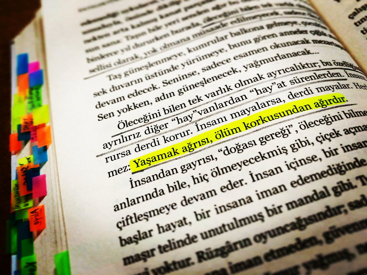 1001kelime's tweet image. Yaşamak ağrısı, ölüm korkusundar ağırdır.

______
#ibrahimpaşalı #profilkitap #entelektüellerinhurafeleri