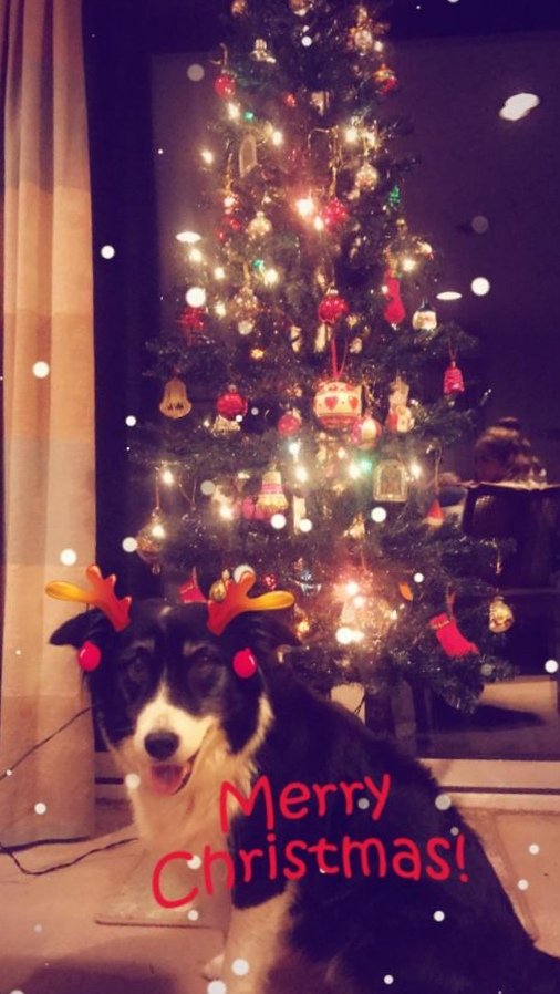 MESHstudyday's tweet image. Merry Christmas from all of us at Midwifery Emergency Scenarios in the Home