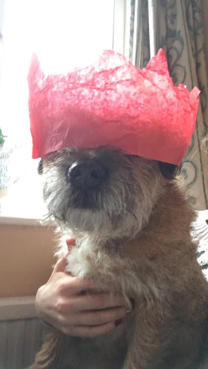 Also, this is not funny #bordersinhats