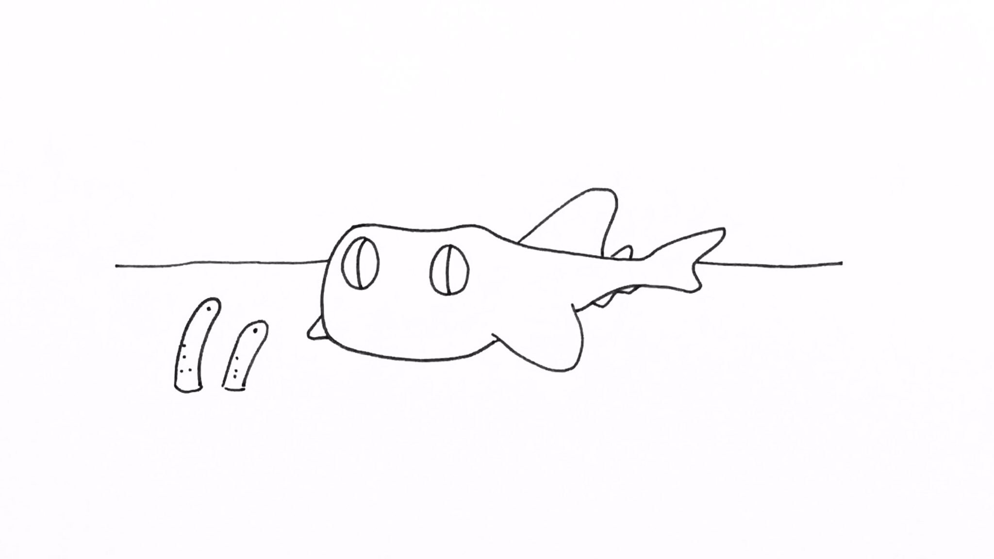けいこっとん チンアナゴとネコザメ おはようございます 朝起きても空が暗いせいか 頭が目覚めません ぼーっとチンアナゴを眺めたいものですが 現実では電車に乗って出勤です 皆様 良い1日を イラスト サメ Shark Illustration