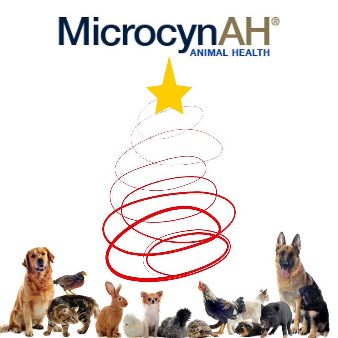 MicrocynAH's tweet photo. Whatever your tradition, we hope you are surrounded by the ones you love today! https://t.co/zXwnaNNj5H