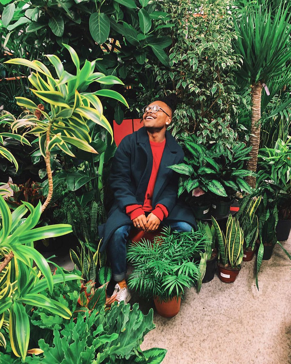 TheChelseaGC's tweet photo. Hope you all are having a very #PlantyChristmas out there from everyone here at Chelsea Garden Center! Shout out to @PlantKween for this amazing 🎁 of a photo. Both of our locations are closed today &amp; tomorrow, but we'll be back open from 10-6 starting this Thursday. https://t.co/ZILsYnc6r8