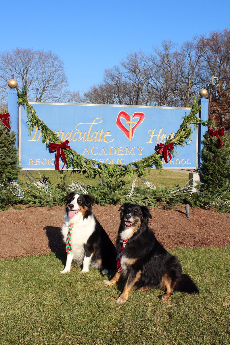Merry Christmas and a Happy New Year from the IHAXC family and Miles and Harry!