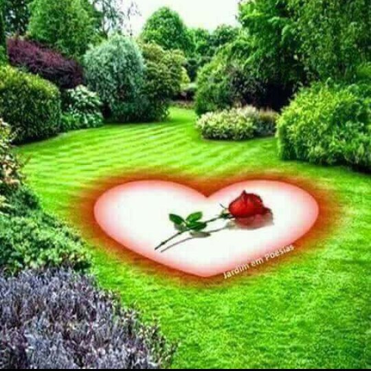 MFlowr2015's tweet photo. ابحث عن صديقه خرساء افظفظ لها كل شي https://t.co/6Pqbr4uo2d
