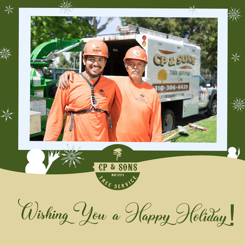 We wish you a very happy and safe #Christmas today!