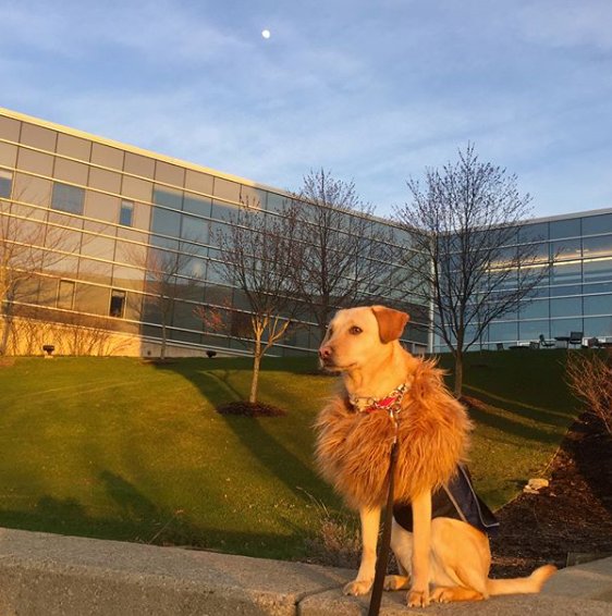 PSBehrend's tweet photo. Top 10 Penn State Behrend photo submissions of 2018: No. 13 by @celestekcc. #BehrendPix https://t.co/Z88cm82VqB