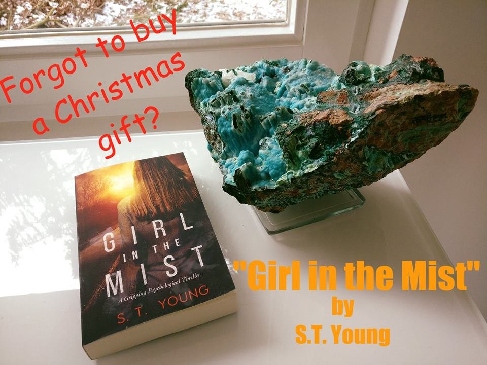 samayayoung's tweet photo. #Teasertuesday is back...and books are perfect gifts. *wink wink, hint*
Don't forget to check out #GirlintheMist.
https://t.co/OF6b9LPoiC
#psychologicalthriller #thriller #multiplepersonalities #dissociativeidentitydisorder #romanticsuspense #assassin #styoung #suspense #gritty https://t.co/Vn7lFYkdW9
