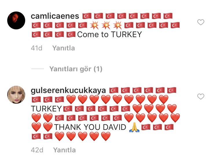 Come turkey. Come to Turkey.