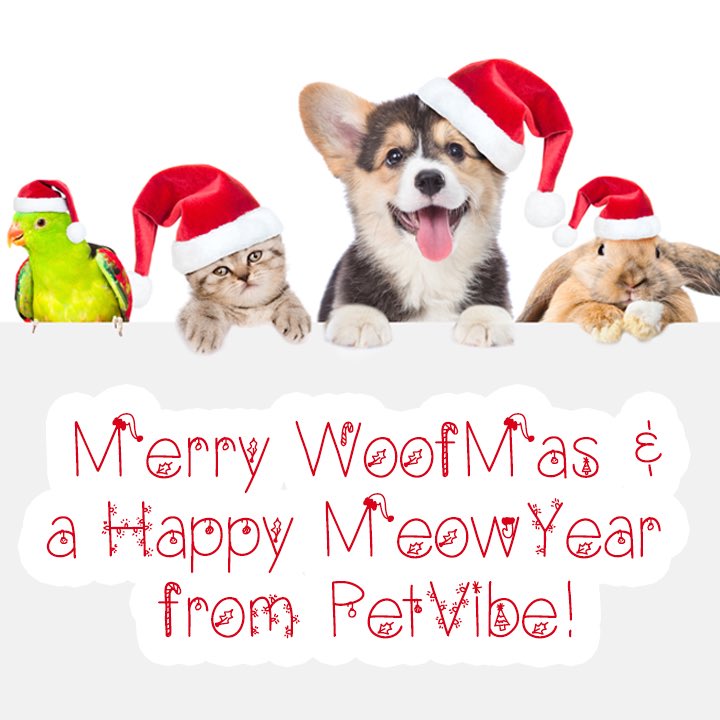 PetVibe's tweet photo. We would like to wish a very Merry Woofmas and a Happy MeowYear to all of our PetVibe family ❤️ 🎄  🎅May the New Year bring you nothing but happiness and joy😀 #HappyHolidays #holidays2018 #petsoftwitter https://t.co/8Xylz24K9m