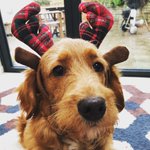Photo by Stephanie - Your Social Bee (@gnashers)
