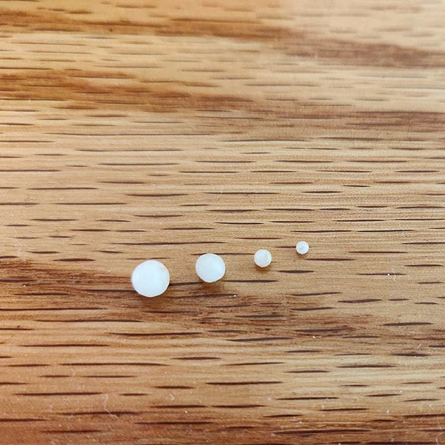 牡蠣に真珠 牡蠣に真珠