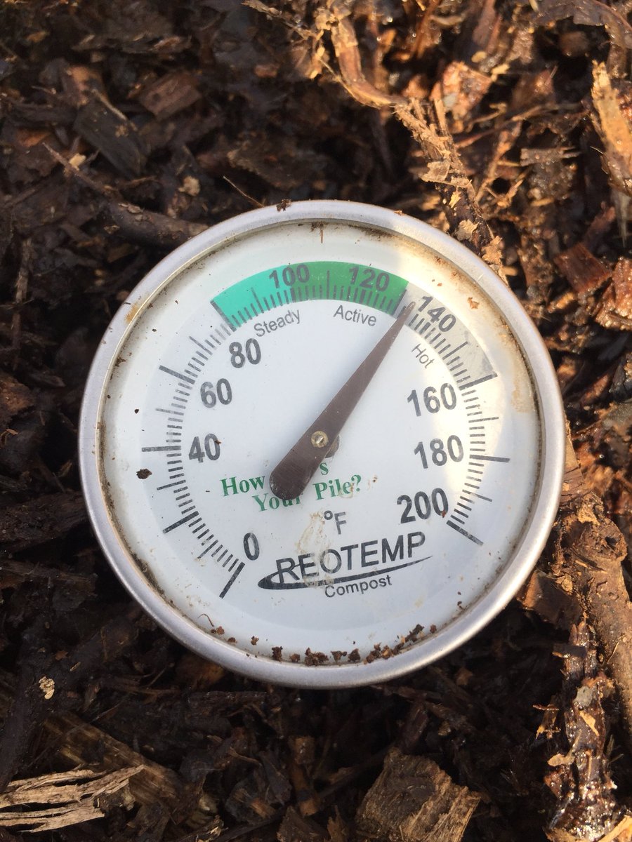 Worm Return tweet media