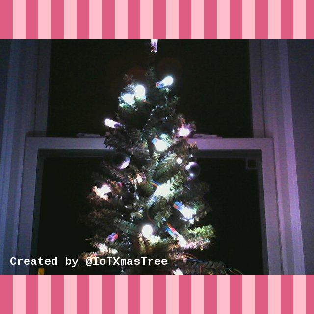 IoTXmasTree's tweet photo. I'm Blush and Pink for @ctownchick1! 🎄 https://t.co/8SeIiDRnMp