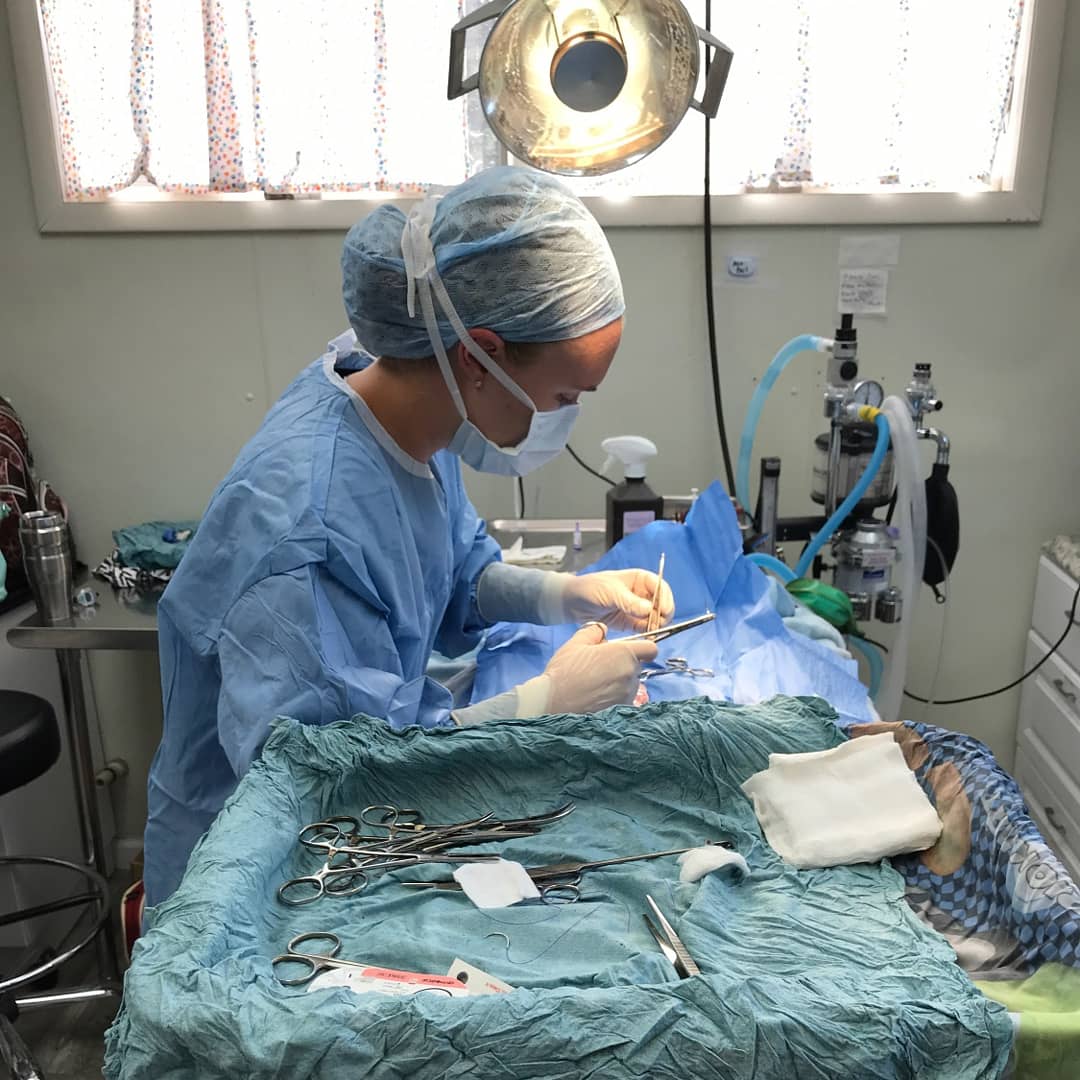 ThatVet_Life's tweet photo. I was once a little girl who dreamed of becoming a veterinarian. Now I get to inspire others to follow their dreams. #veterinarystudent #dream #inspire #futuredoctor #vetmed #vetlife https://t.co/FaowcoeHch
