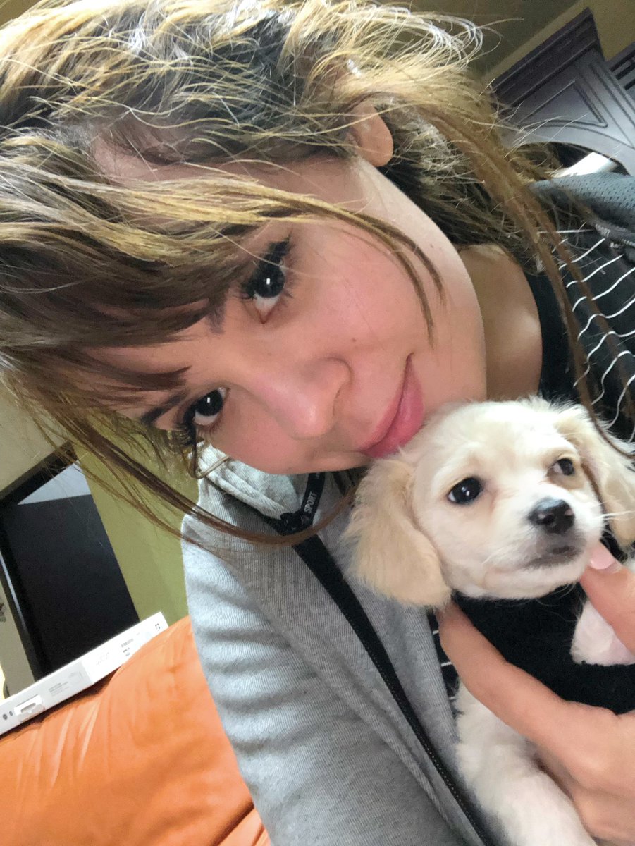 DanyanCatSQ's tweet photo. Primera navidad del bebe 💖😍 https://t.co/wpnsj8AoDY