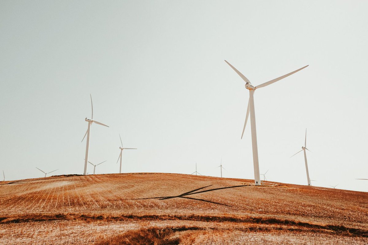 ecoconsciouslg's tweet photo. 15 Must-See Documentaries on #Sustainability and the Environment #environmentaldocumentary https://t.co/6f8cltGbkB https://t.co/fCg8xNIyAz