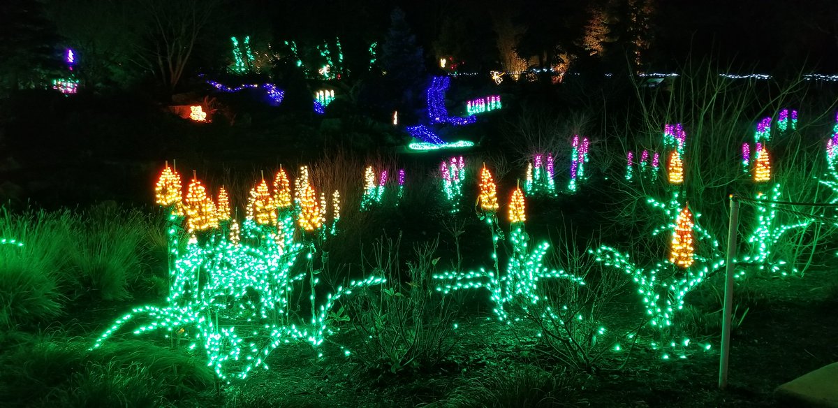 Bellevue Parks On Twitter The Lights Are Shining Brightly