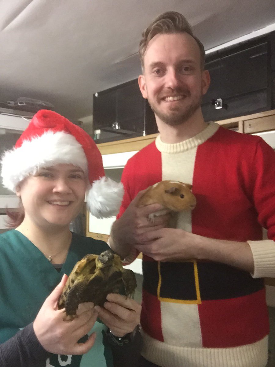 Merry Christmas everyone. Our inpatients and boarders are tucked up for the night. Matthew and Kim have been treating, feeding, cleaning and offering some festive treats today!