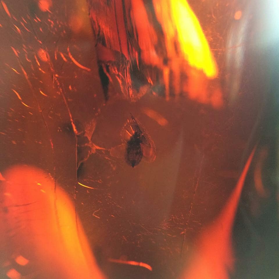 MagdaMinerales's tweet photo. Mexican Red Amber for Sale
41 pieces
155 gr total
Origin: Chiapas México Mines
100% Natural
Shipping worldwide
#redamber #amber #gems #gemology #collectors #jewerly #mexicanamber #stones #naturalstone #rocks #gemstonejewelry #jewerly #magdaminerales #forsale #mexicanstones https://t.co/dPPCwFc4ET