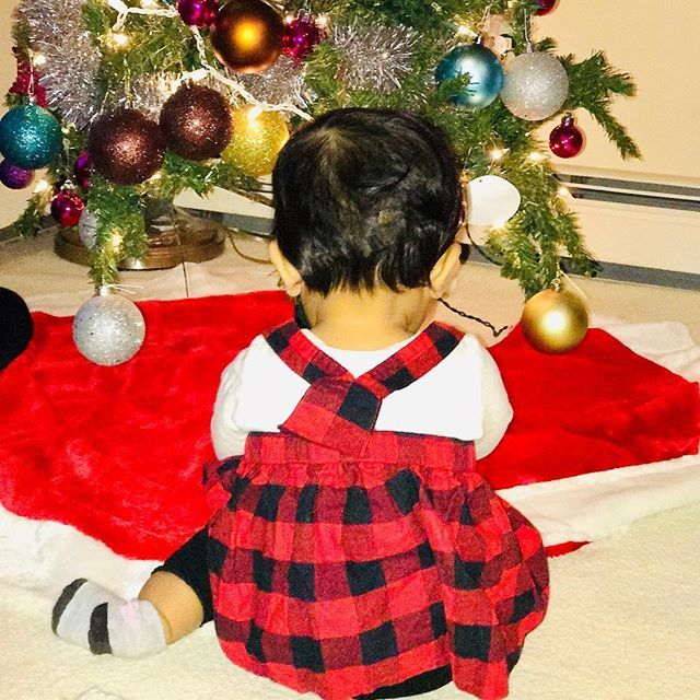 fobandfriends's tweet photo. Merry Christmas from #fobandfriends. We are coming back in the new year! In the meantime, please enjoy The #teapot making its debut. #christmastree #christmas #plaid https://t.co/EKjci95Bli https://t.co/O42ni5b0ON