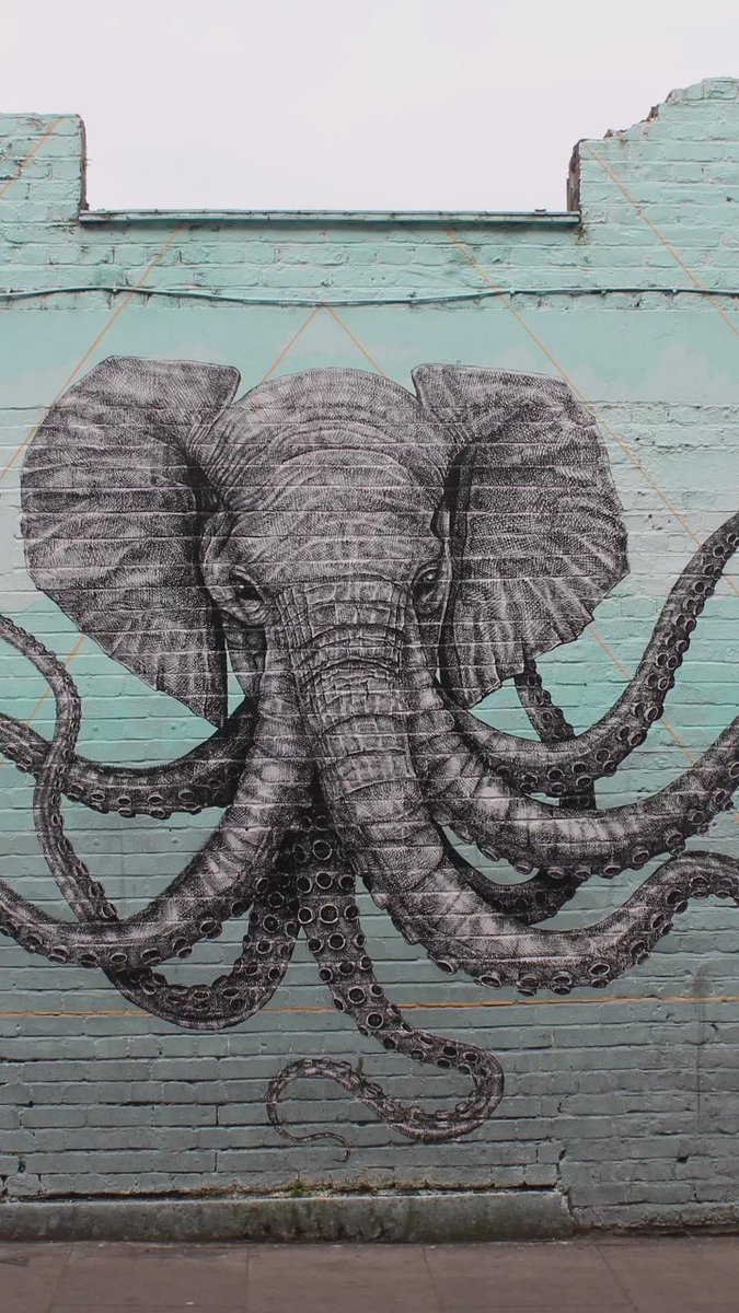 algashy's tweet image. 