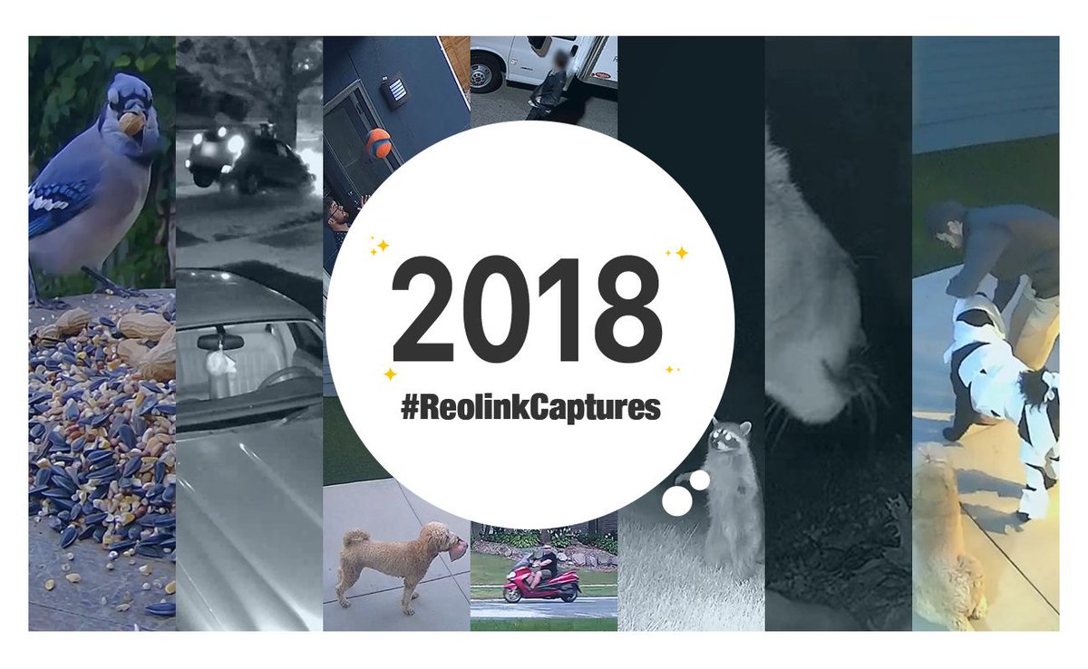 ReolinkTech's tweet image. #ReolinkCaptures voting is open! Check out the nominated #ReolinkCaptures stories, and vote for your faves now👉 buff.ly/2QNoiR4