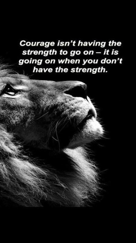 Coach Shay (@mycoachshay) on Twitter photo 