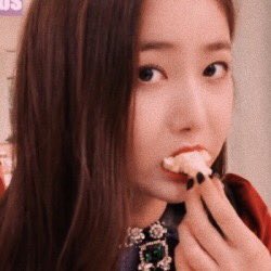 sintendogs's tweet photo. #NewProfilePic https://t.co/1EGeYkIBB9
