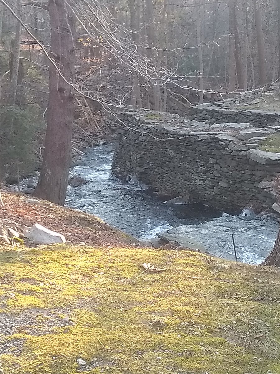 RestQueen's tweet image. Gaveston and Edward met when Edward was about 16 years old, when Gaveston joined the royal household. “It’s very obvious from Edward’s behavior that he was quite obsessed with Gaveston,”