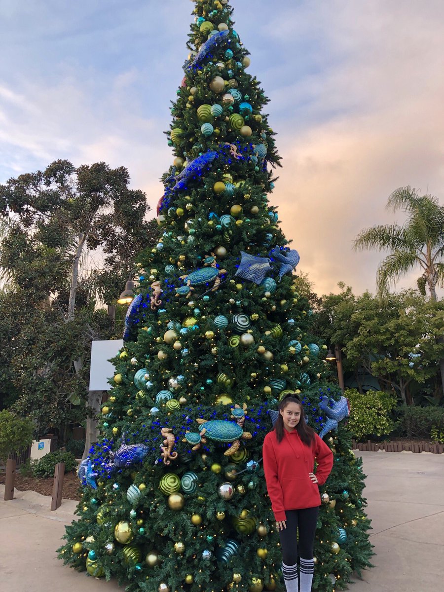 Merry Christmas 2018!