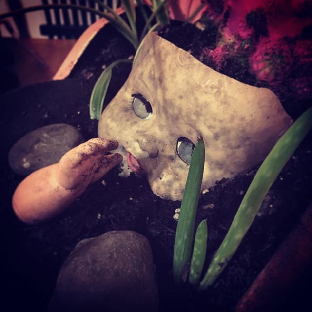 mttmartel's tweet photo. #creepy #christmas #dead #baby #doll https://t.co/Uytv3FJot4 https://t.co/XKXbja8p0R