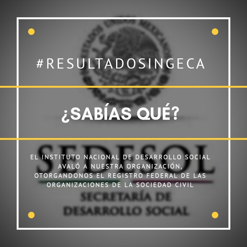 INGECAMEX's tweet photo. #ResultadosINGECA 2018 https://t.co/NIOfbRGvLg