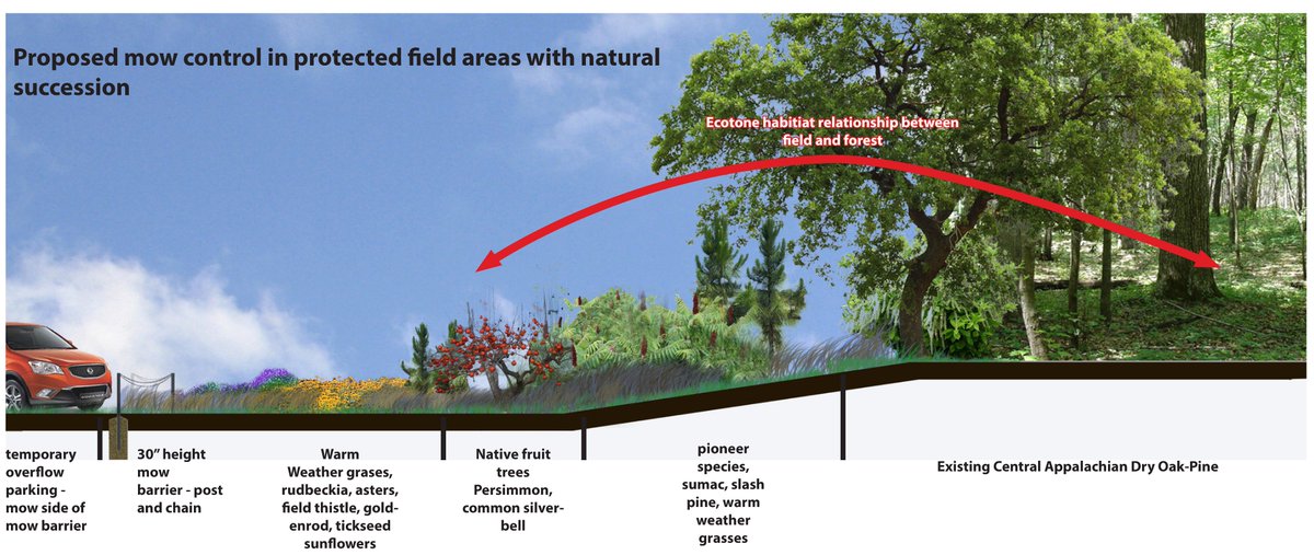resil_studio's tweet photo. Environmental analysis for ecotones and habitats lead to a comprehensive plan for protecting habitats and increasing biodiversity. Reinvigorated habitats connect to Elks Run stream corridor for regional species connectivity. https://t.co/XdX37JiXz4