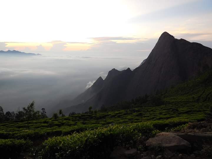 JobySeb89572549's tweet photo. Greetings!!!!
Good morning!!!!

#travelphotography
#travelblogger #travelblog #Tourism #Kerala #Munnar #Keralatourism  #instagood #IncredibleIndia  #Keralatourism  #munnarresorts  #exploremunnar  #GooglePhotos #photography https://t.co/xqoUsAHdmD