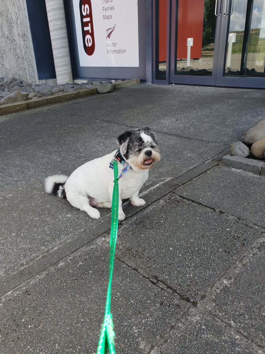 #roadtrippin with my whanau #waiouru