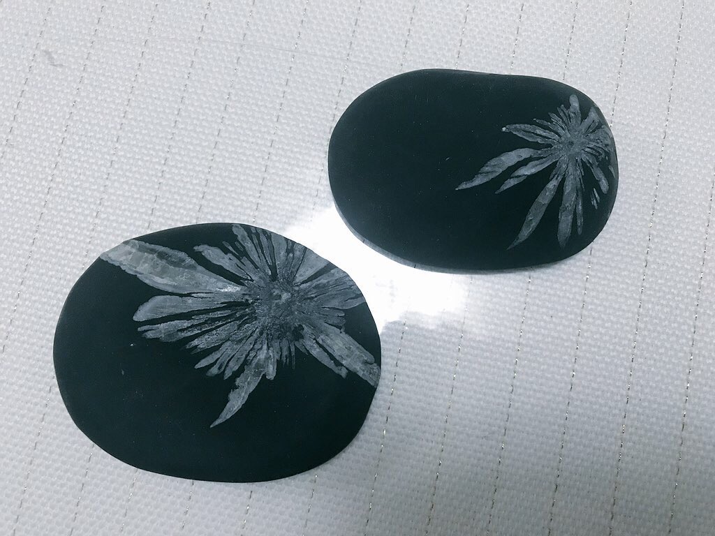 仰望星空a Twitter 菊花石 满地伤 抖落两亿年风霜菊花石生成于两亿多年前 属于纹理石 是地质中的一种天然 花卉 主要是由天青石或方解石矿物组成的花瓣 由近似圆形的燧石构成了花瓣中心 形似怒放的菊花 所以叫 菊花石