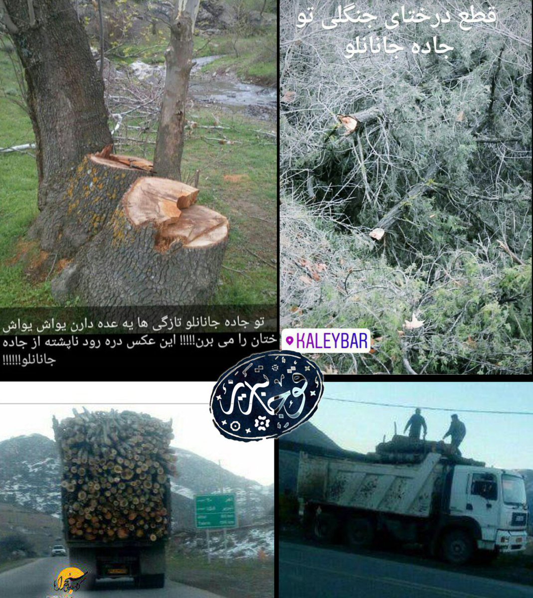 Mejidsavalan's tweet photo. #stop_cutting_trees
#karadagh
#arasbaran https://t.co/OglKbpETb9