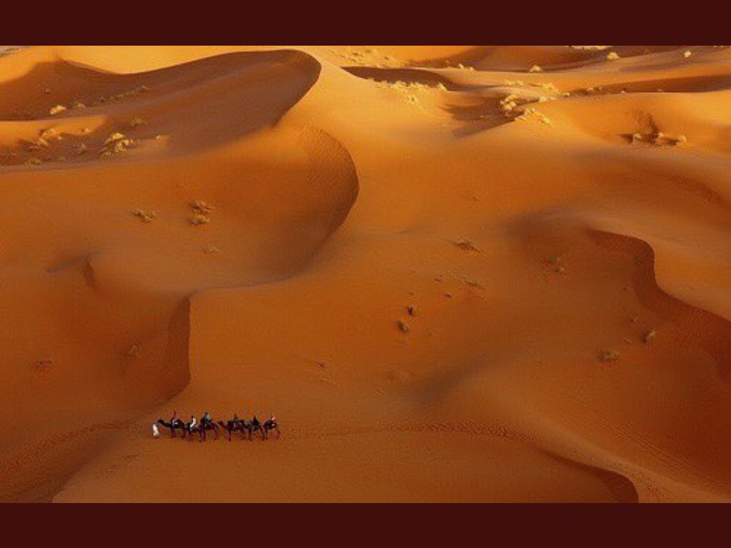 اثنان لا يصطحبان أبداً : 
#القناعة و #الحسد .
 واثنان لا يفترقان أبداً : 
الحرص والحسد .