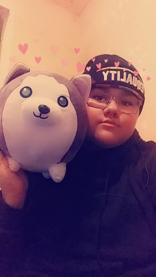 AshlynGrace2504's tweet image. I LOVE MY WOLF SO MUCH!!!!! 💞💞💜💞💞 @_Aphmau_ #wolfplush #aphmau