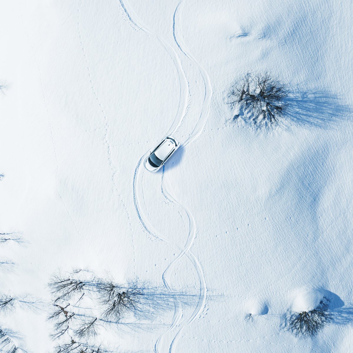 TischerAuto's tweet photo. Dashing through the snow. On a much more powerful sleigh. 😏🎶❄️ #HappyHolidays #SimplyAmazing https://t.co/XZ4ea305bJ