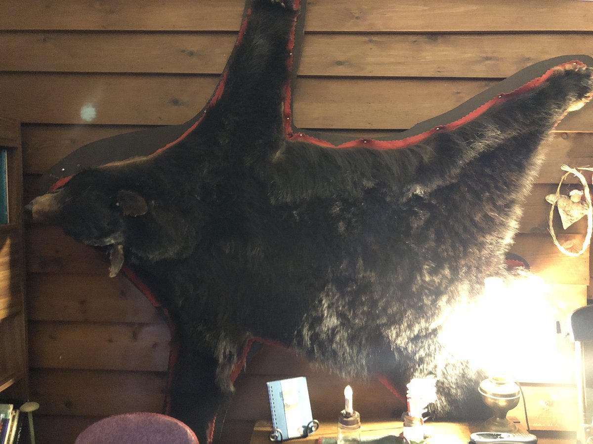 TempestCDN's tweet photo. Yep, that’s a real bear skin on the wall of my Airbnb... https://t.co/0S4HJ4xKHx