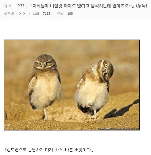 조류 라노벨

그 1화!! 