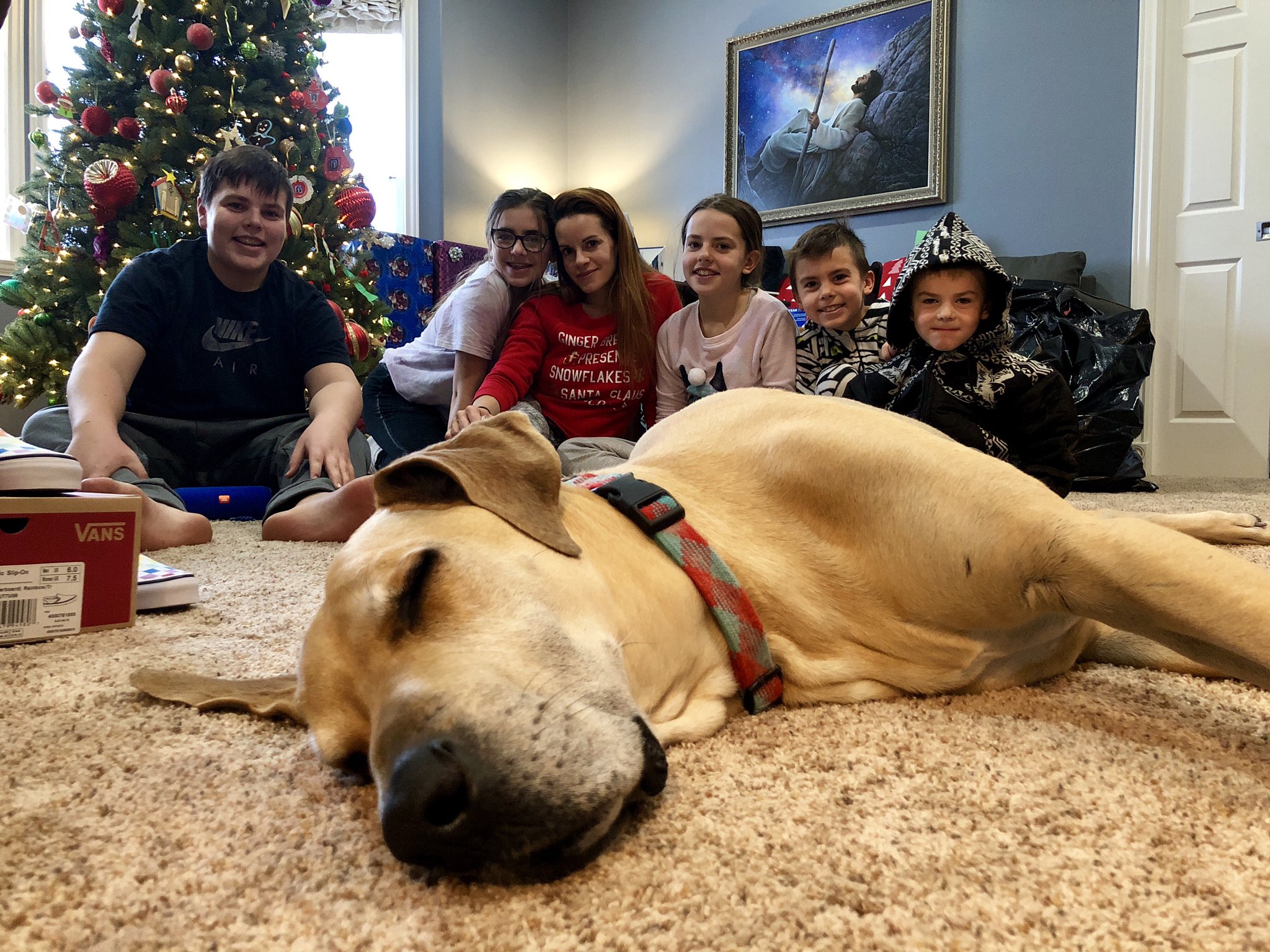 shaycarl on Twitter: &ldquo;The 2018 #SHAYTARDS Christmas special will be