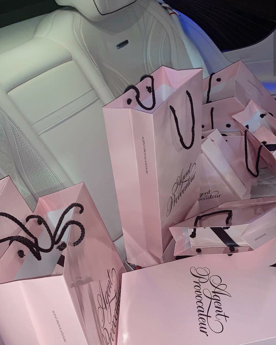 CamillesBoudoir's tweet photo. this is how I picture my dream life: shopping &amp; living like a princess👸🏻💓 https://t.co/9yOTruJQP6
